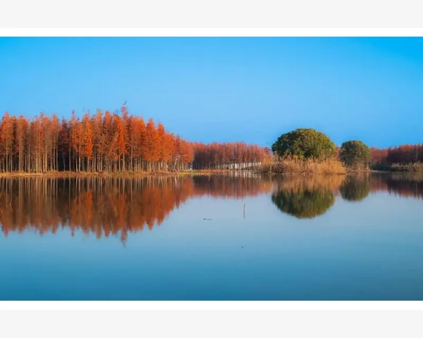 MT4软件运行卡顿这样优化性能更流畅_构建多品种数据存储与更新结构