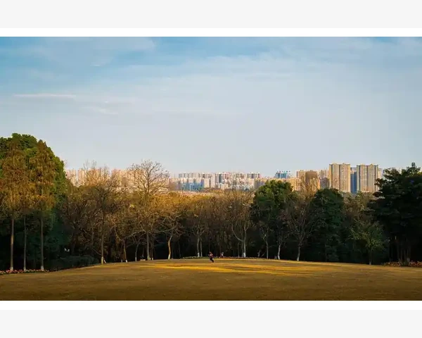 MT4交易服务器选择关键因素与实用技巧_官方服务器与白标服务器的本质区别_1