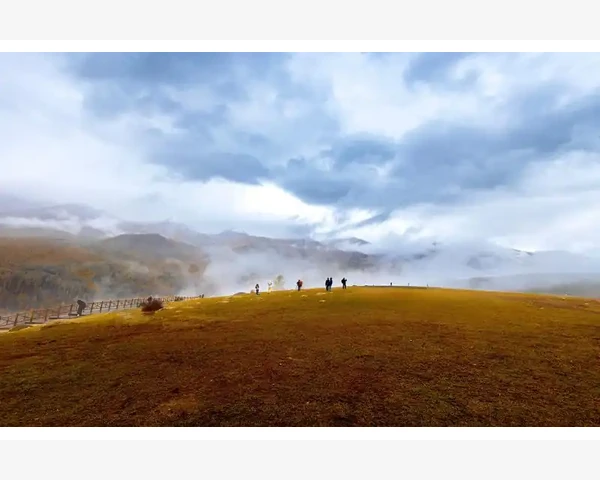 MT4模板文件分享给其他交易者的方法_桌面版MT4设置追踪止损的三种方法