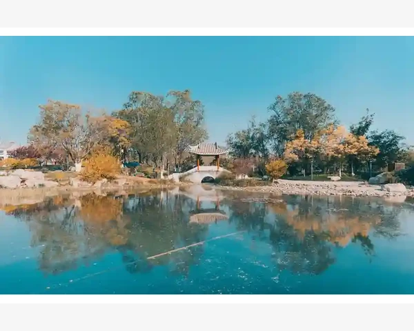MT4交易禁用弹窗不断专家顾问实时交易开启是关键_处理新闻查看中的常见问题