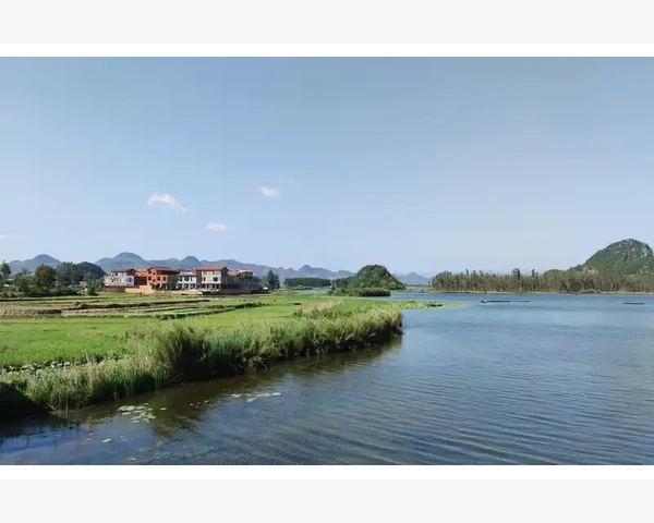 跟单信号延迟开仓价差如何影响MT4交易执行_如何利用独立触发机制优化交易