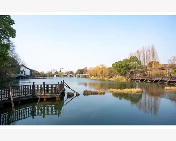 MT4软件连接状态速查方法_安全使用两种密码的注意事项与常见误区