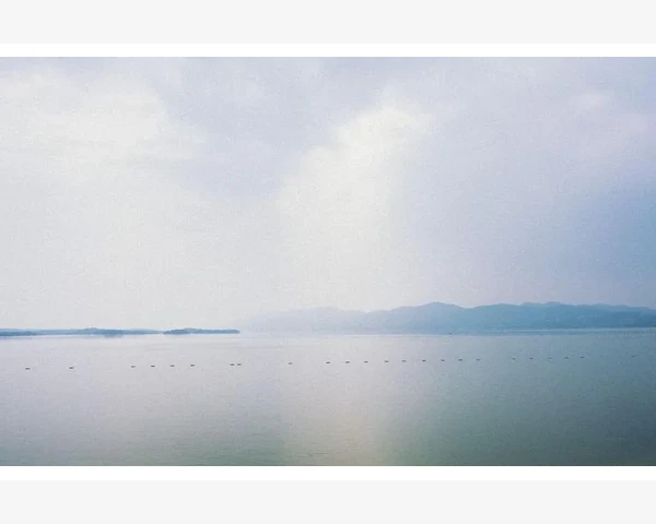 MT4行情窗口精简技巧让界面更清爽_认识行情窗口的本质与关闭逻辑_4