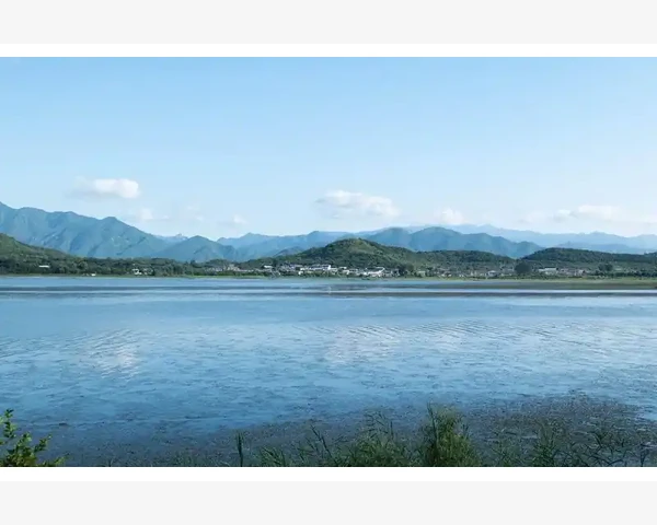 MT4交易记录中代理佣金到底是什么_移动止损的实战操作技巧