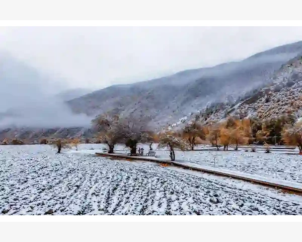 MT4参数优化算法选择遗传算法与枚举算法对比_复制备份的具体操作步骤