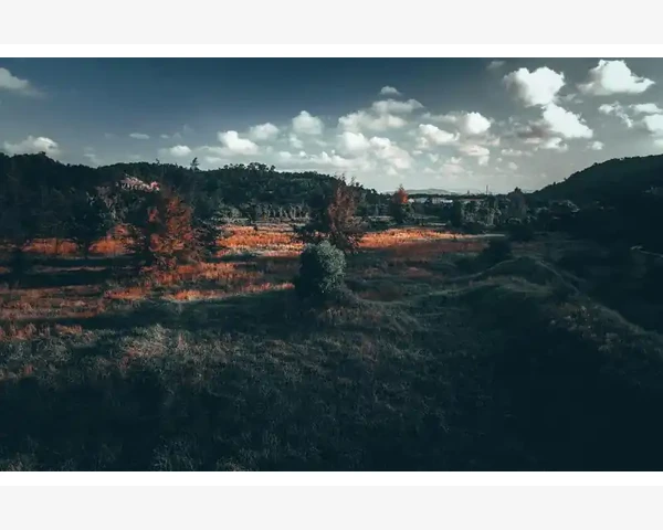MT4打印图表功能轻松实现纸面分析_保存自定义布局避免每次重启都要重设