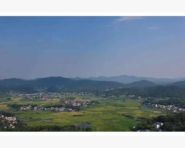 MT4图表指标窗口自由拖动与大小调整技巧_指标窗口的创建与基本拖动逻辑_3