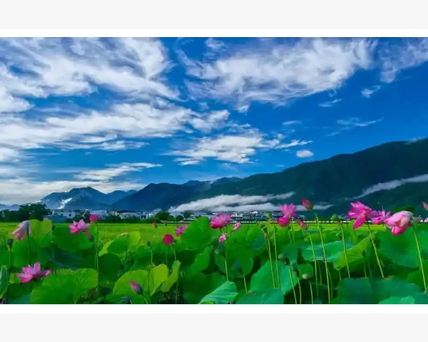 MT4交易时间调整入口与修改方法详解_加仓策略的实战应用与风险管理