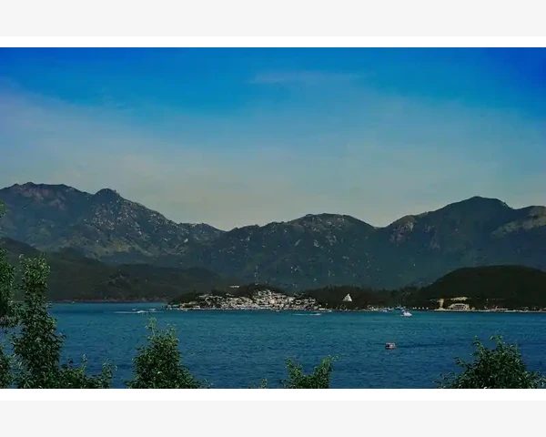 MT4规格中保证金单边显示真相解读_交易者的决策判断才是MT4使用效果的核心